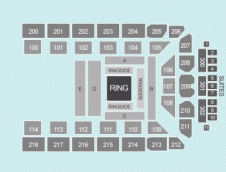 Boxing Seating Plan at Utilita Arena Newcastle